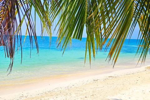 Cartagena: Day Trip to Barú Island, Baruch Wave Beach Club + Lunch + Snorkeling