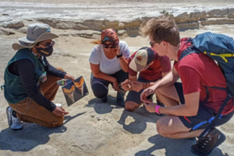 Visit Cañón de los Perdidos + natural oasis in Huacachina Visit Cañón de los Perdidos + a natural oasis in Huacachina