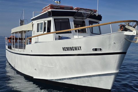 Passeio panorâmico de barco em Split com cerveja, vinho, sumos e mergulhoPasseio panorâmico dividido de barco com cerveja, vinho, sumos e mergulho