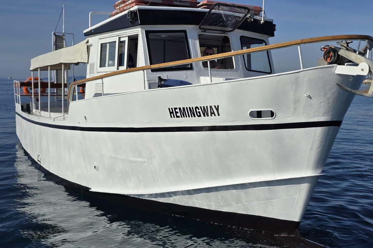 Passeio panorâmico de barco em Split com cerveja, vinho, sumos e mergulhoPasseio panorâmico dividido de barco com cerveja, vinho, sumos e mergulho