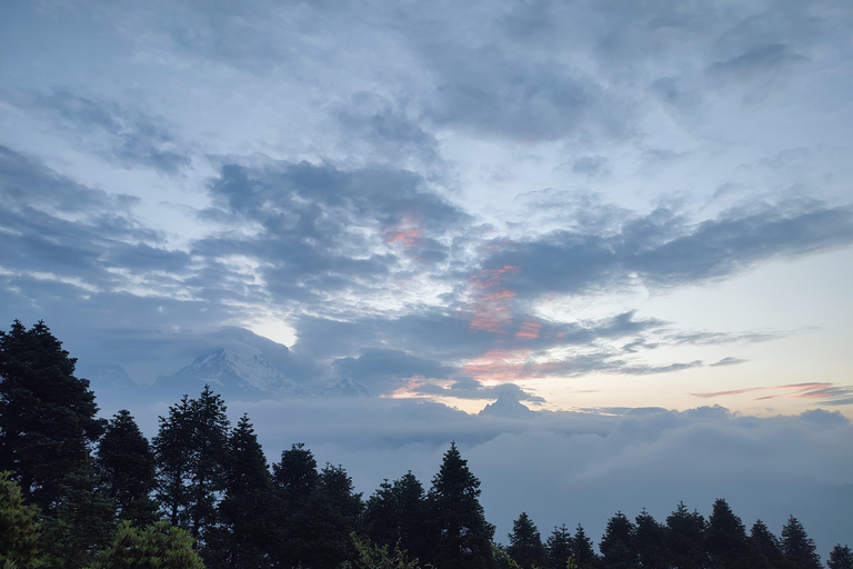 De Pokhara: Caminhada de 3 dias em Ghorepani Poon Hill com guia