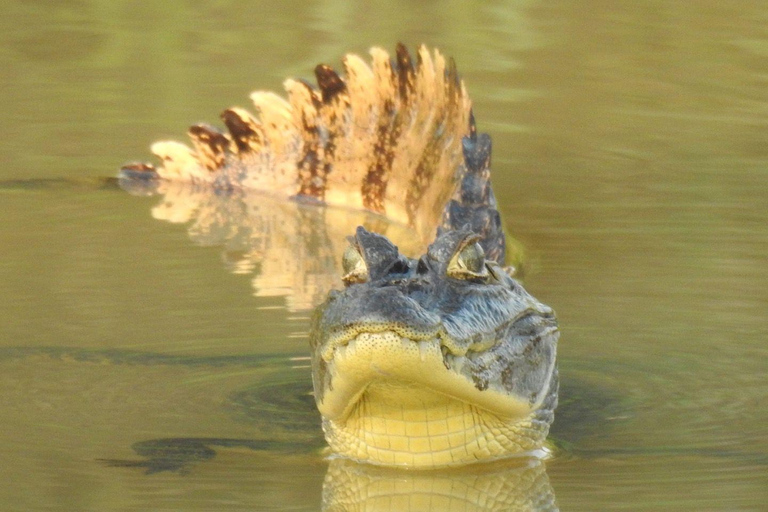 Santa Cruz: Wildlife Sanctuary and Preservation Park Tour