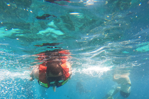 Lombok: Private Glass-Bottom Boat Tour with Snorkeling