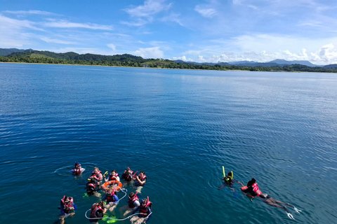 Pacific Harbour: 1 Mile Reef Guided Snorkeling Tour & Gear
