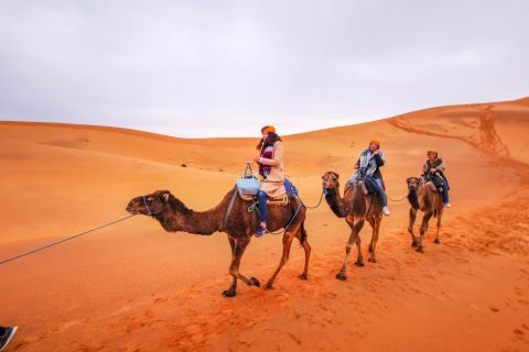 Sahara 3-dagers luksusturer fra Marrakech