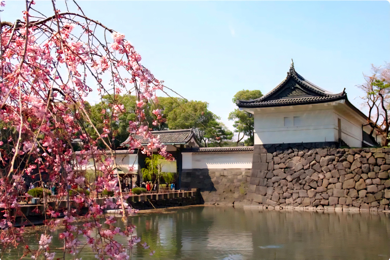 Tokyo Tour:Viral Instagram & TikTok Highlights by Luxury Car