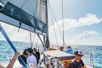 Cairns, Green Island & Great Barrier Reef Sailing Tour - Housity