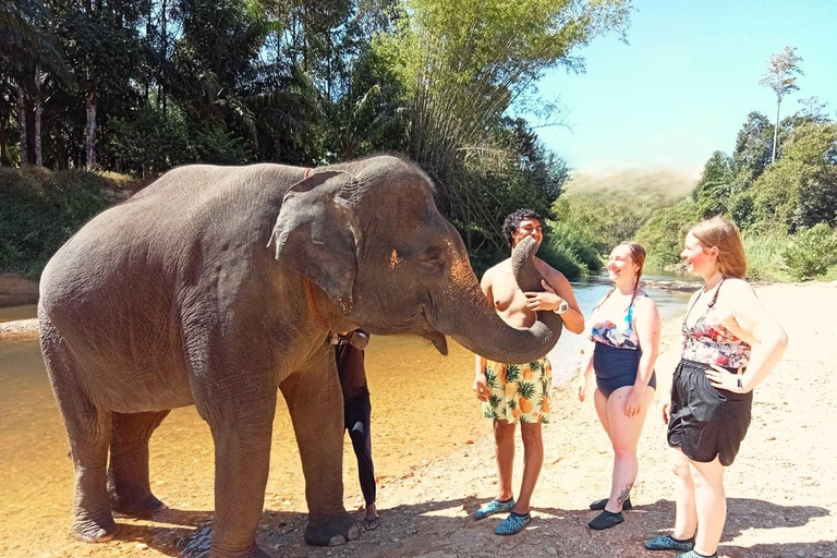 Khao Lak: Khao Sok Elephant Sanctuary and Night Jungle Walk Khao Sok Elephant Sanctuary and Night Jungle Walk