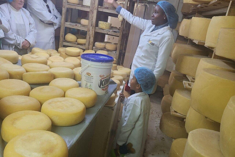 Nairobi: Brown's Cheese Farm Tour with Lunch