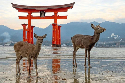 Kyoto & Osaka: Private Customizable Day Trip with Guide