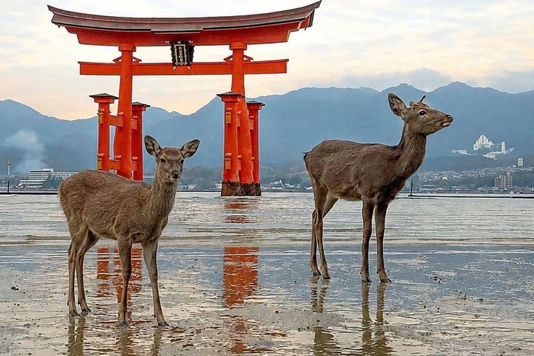 Kyoto & Osaka: Private Customizable Day Trip with Guide