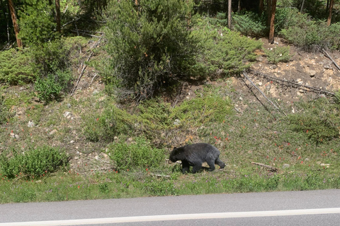 Moraine Lake and Lake Louise Blue Waters Tour