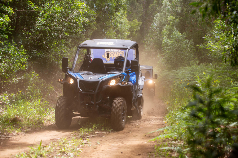 Madère : Trail Thrill Buggy Tour