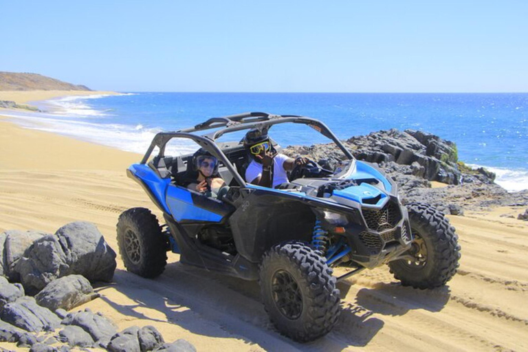 Cabo San Lucas: Passeio de Camelo e Aventura Combo de UTV Off-Road