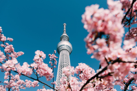 Excursão de 1 dia a Tóquio: Skytree, Santuário Meiji com motorista inglês