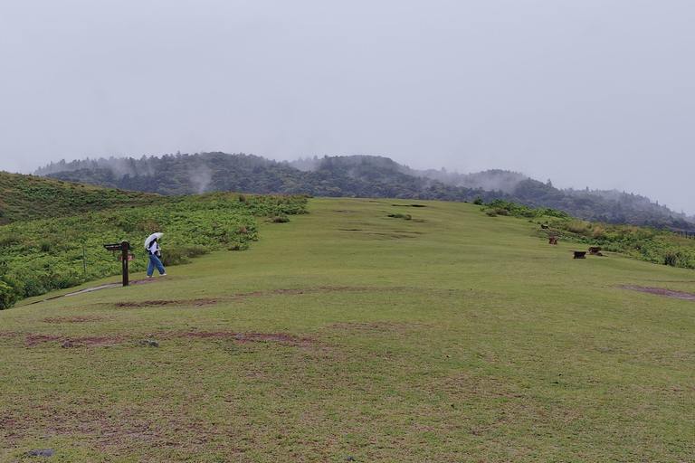 Nara: Hike Mt. Wakakusa and Encounter Wild Free-Roaming Deer