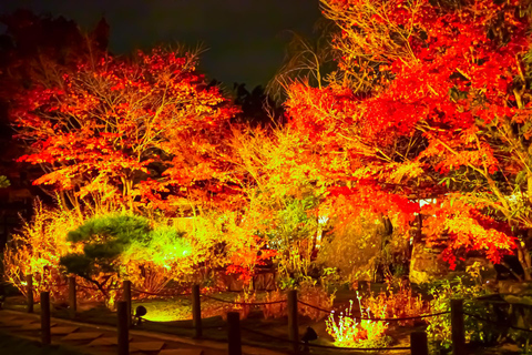 Kyoto: Autumn Leaves Tour with Temples and Gardens