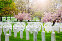 Washington DC, visite guidée du cimetière Arlington - Housity