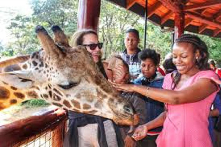 Nairobi national park, elephant orphanage giraffe center