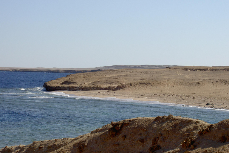 Hurghada: Desert and Red Sea Horseback Riding Tour