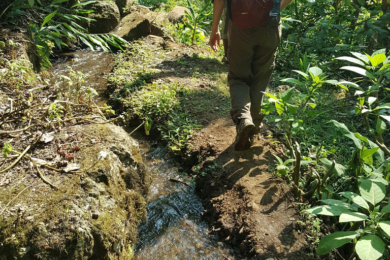 Moshi: Guided Waterfall Hike with Local Stories