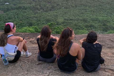 Kandy: Dambulla, Sigiriya, and Village Safari Day Tour