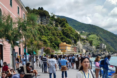 Florence to Cinque Terre e Pisa: Private Full-Day Tour