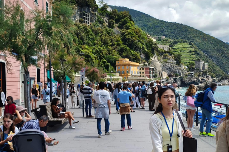 Florence to Cinque Terre e Pisa: Private Full-Day Tour