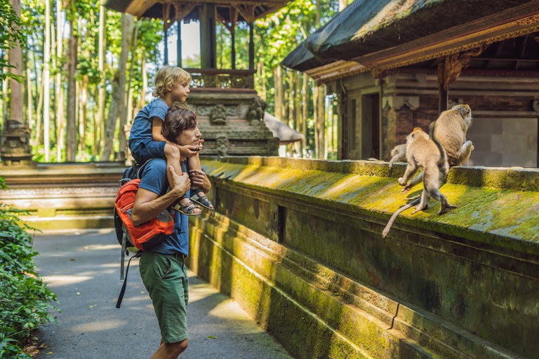 Ubud: Waterfalls, Water Temple & Monkey Forest Shared Tour Shared-Group Tour with Hotel Transfer