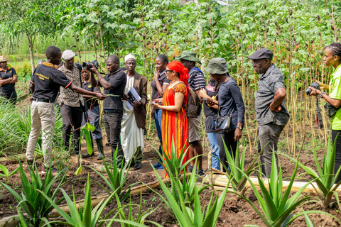 坎帕拉：埃瓦菲文化村一日游含午餐