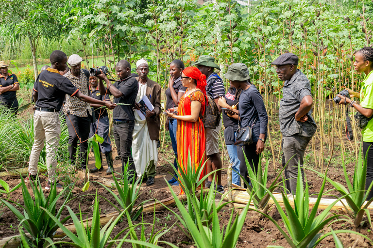 坎帕拉：埃瓦菲文化村一日游含午餐