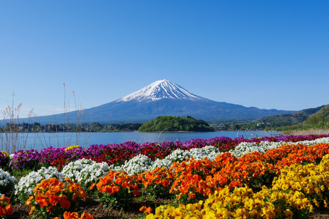 Tokyo: Mt Fuji & Oishi Park, Oshino Hakkai, Chureito Pagoda Free Karaage Chicken Set | Tokyo Station 8:00AM