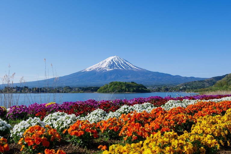 Tokyo: Mt Fuji & Oishi Park, Oshino Hakkai, Chureito Pagoda Free Karaage Chicken Set | Tokyo Station 8:00AM