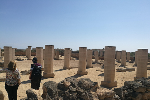 Salalah: Stadens höjdpunkter med lokal guide