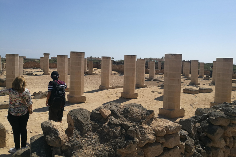 Salalah: Stadens höjdpunkter med lokal guide