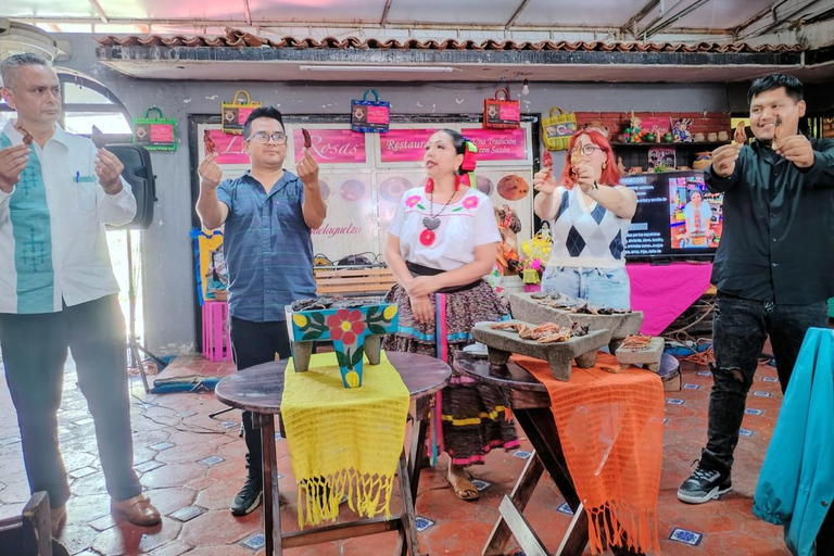 15 moles in Oaxaca: a taste of flavor and culture