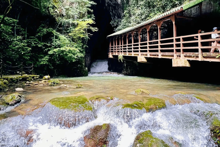 North Kyushu Tour: Akiyoshido Cave & Motonosumi Inari Shrine North Kyushu Tour: Akiyoshido Cave, Motonosumi Inari Shrrine