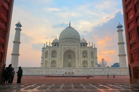 Taj Mahal Sunrise Tour met het geredde centrum voor olifanten en berenTour met auto, gids, monumententoeslag, berenredding en lunch