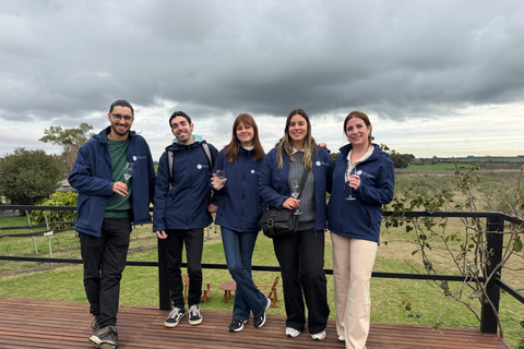 Colonia del Sacramento: Vineyard Tour & Special Wine Tasting