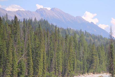 Kicking Horse River: Halbtägige Einführung in das Wildwasser-Rafting