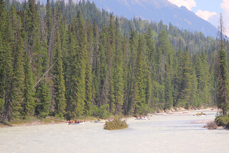 Kicking Horse rivier: Halve dag kennismaking met wildwatervarenKicking Horse River: introductie van een halve dag tot wildwaterraften