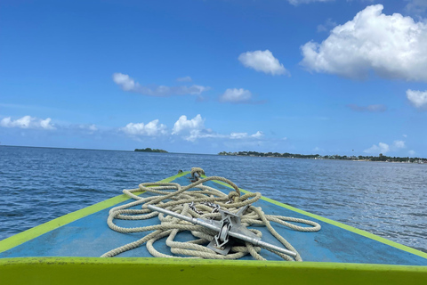 Actividad de snorkel con paseo en barco en Montego Bay