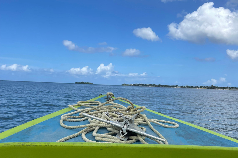 Actividad de snorkel con paseo en barco en Montego Bay