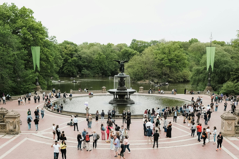 Lo mejor de Central Park: Un tour a pie panorámicoTour privado: Un tour a pie por Central Park