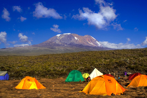 Kilimanjaro Tageswanderung (Shira Route)