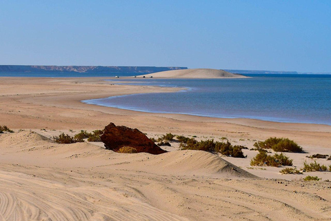Dakhla: White Dune 4x4 Desert Tour with Hot Spring Visit