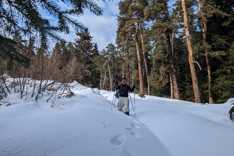 Snowshoeing in Georgia: Borjomi-Kharagauli National Park