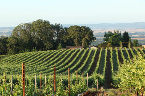 Willamette Valley Wein-Tour: Eine Reise für die Sinne