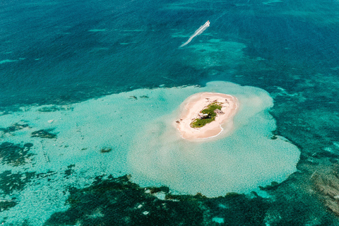 Guadeloupe: Magical half-day boat trip: mangrove, islet, snorkeling. Guadeloupe: Magical 1/2-day boat trip: mangrove, islet, snorkeling.