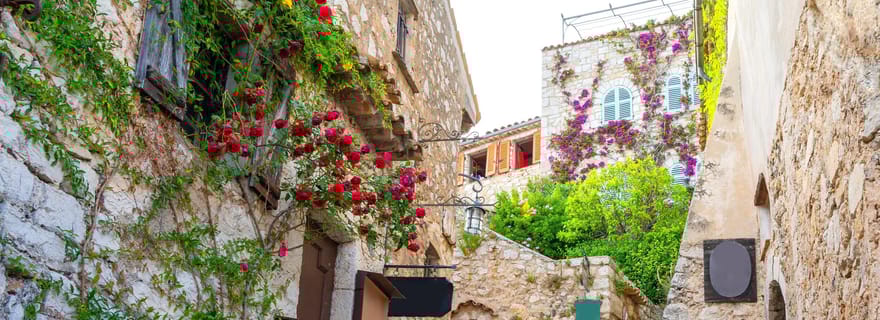 Au départ de Nice : Excursion d'une demi-journée à Eze, Monaco et Monte-Carlo